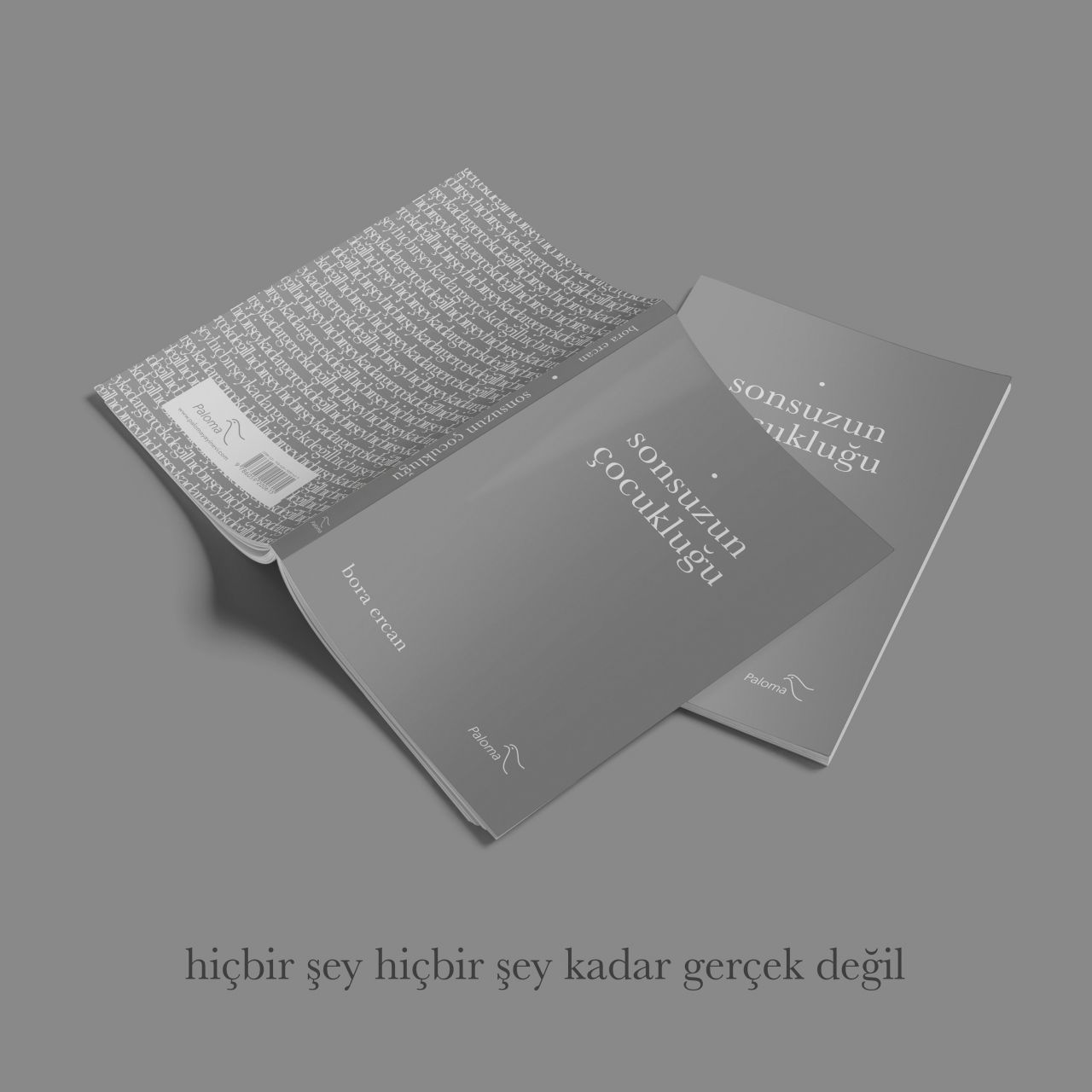 Bora Ercan'ın Sonsuzun Çocukluğu kitabı çıktı - Sayfa:2
