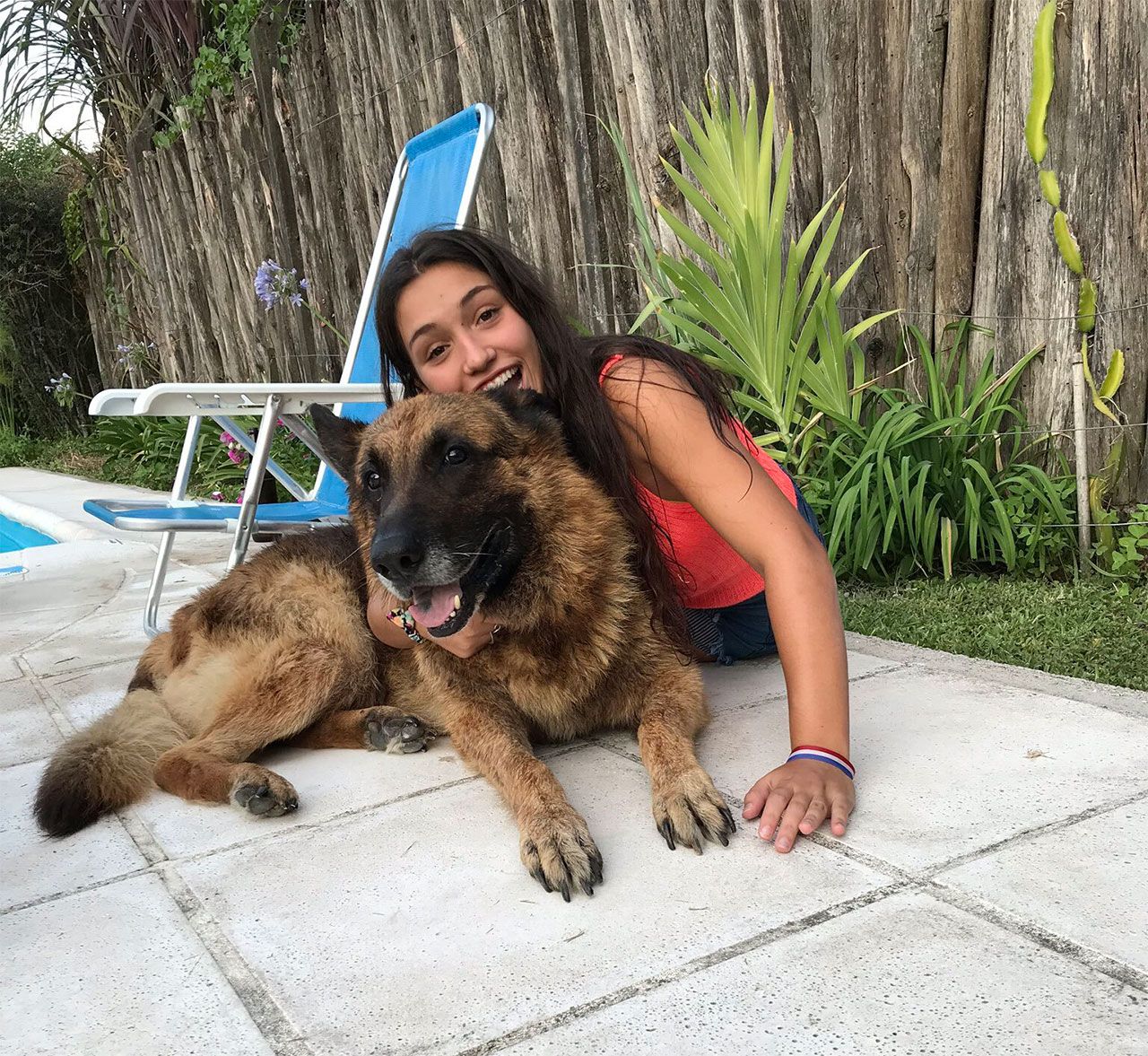 Köpekle fotoğraf çekimi faciayla bitti - Sayfa:1