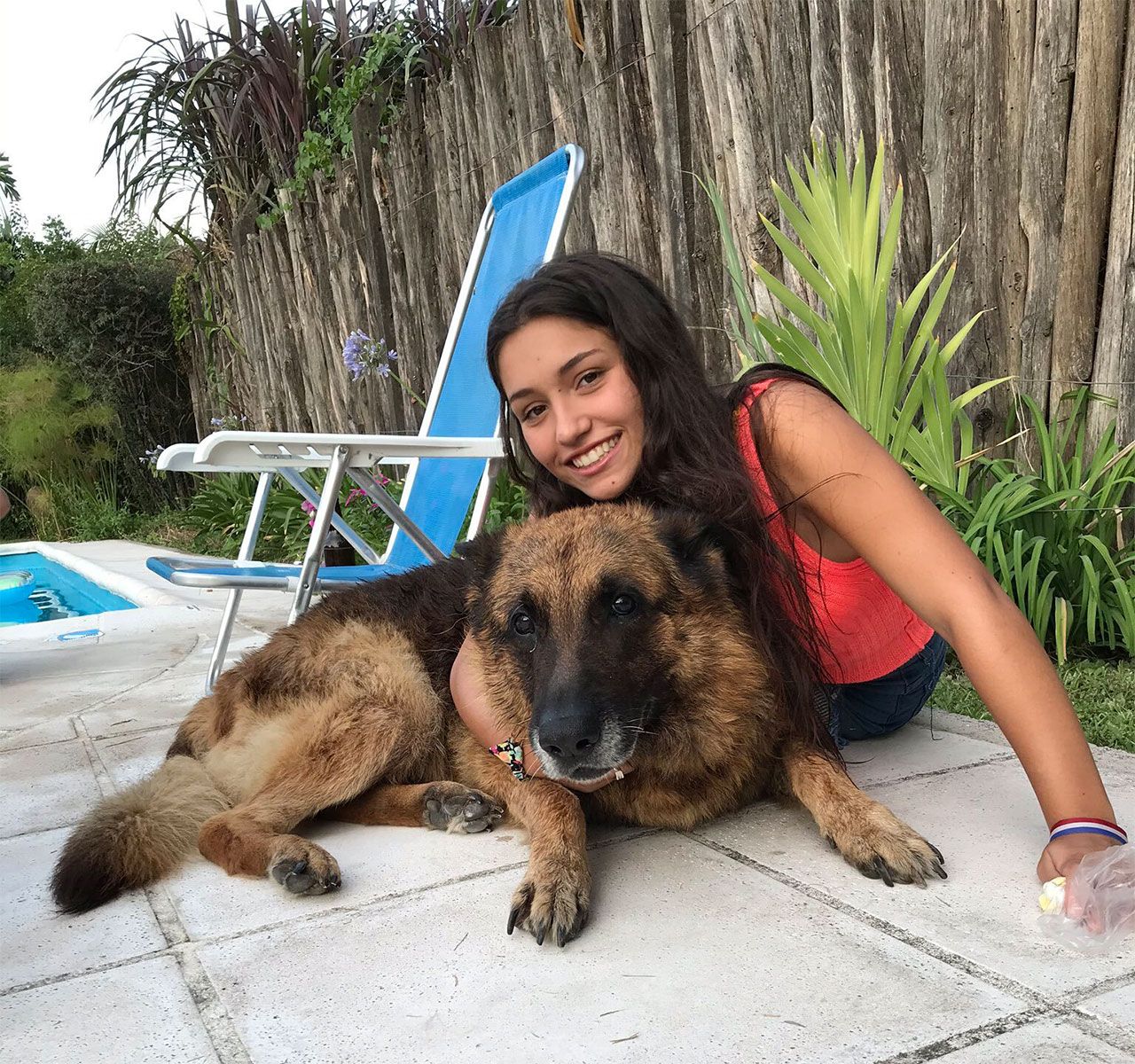 Köpekle fotoğraf çekimi faciayla bitti - Sayfa:2