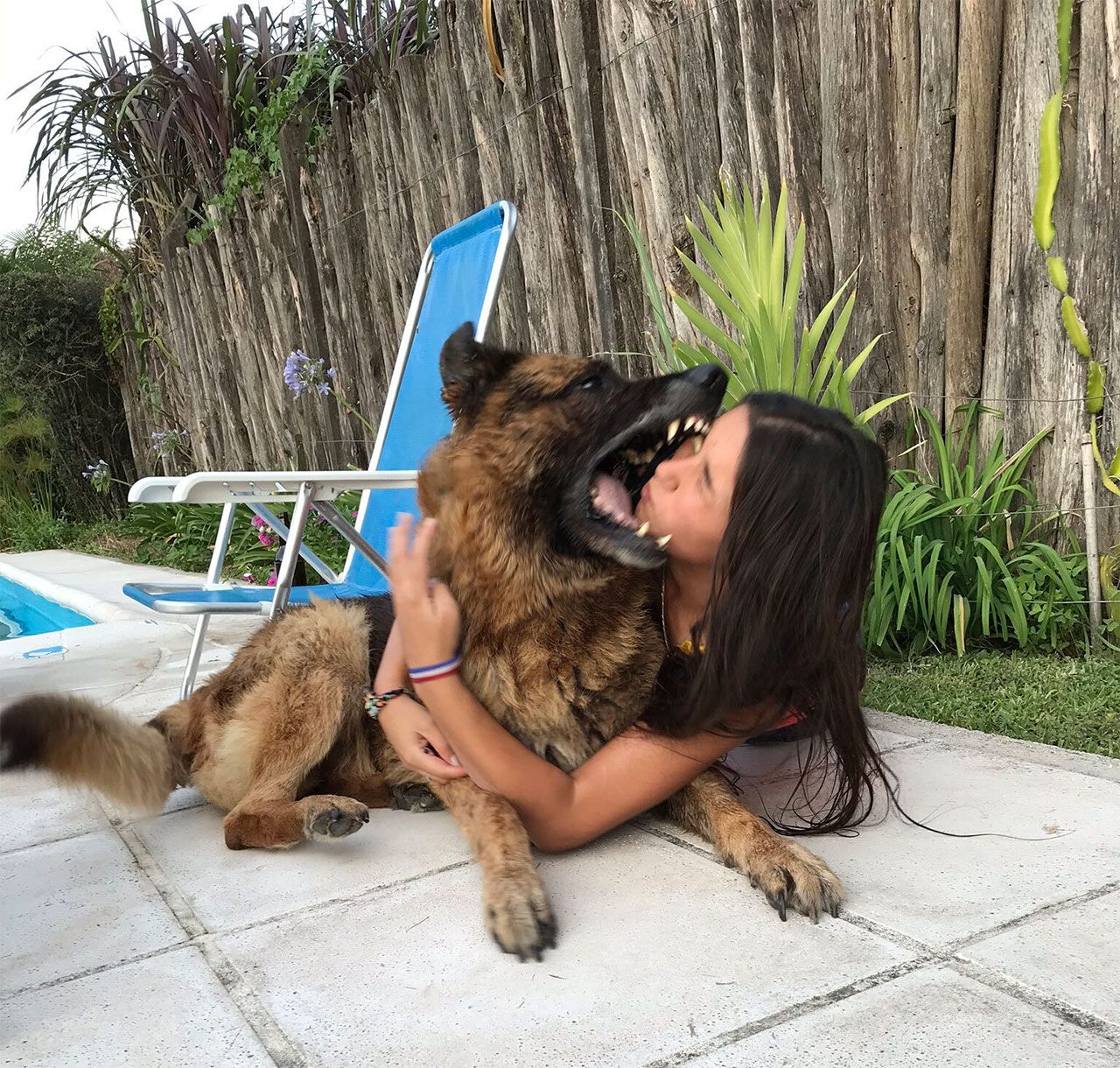 Köpekle fotoğraf çekimi faciayla bitti - Sayfa:3