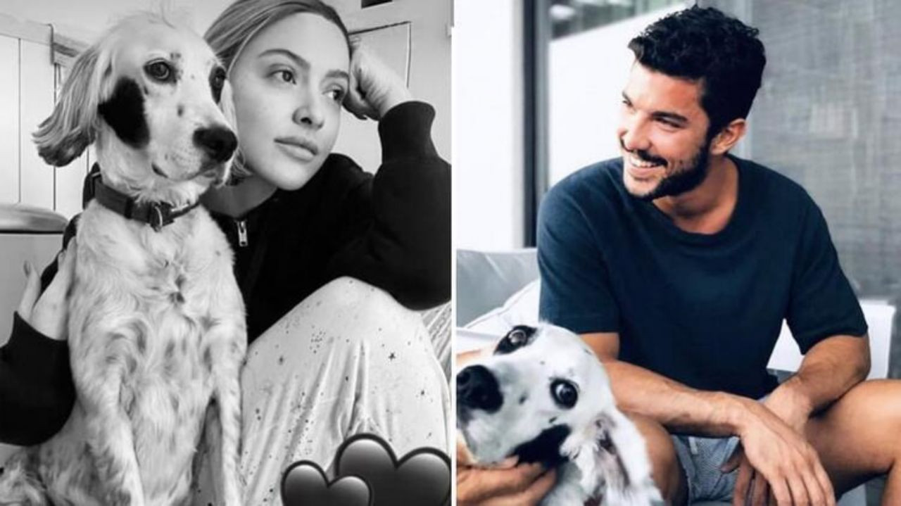 Önce Benek, sonra koltuk şimdi de.... Hadise, Kaan Yıldırım'ın evinde mi? - Sayfa:1