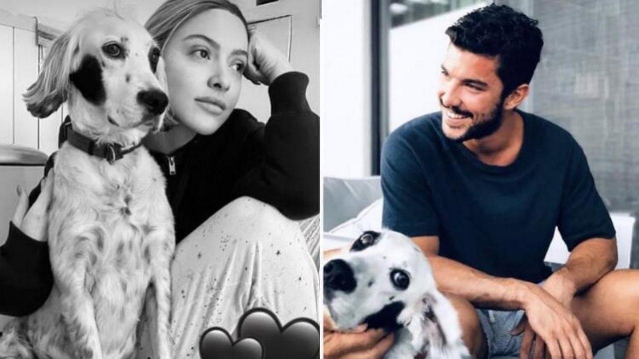 Ünlü oyuncudan açıklama geldi! Hadise ile aşk yaşayan Kaan Yıldırım ailesini neden sildi? - Sayfa:1