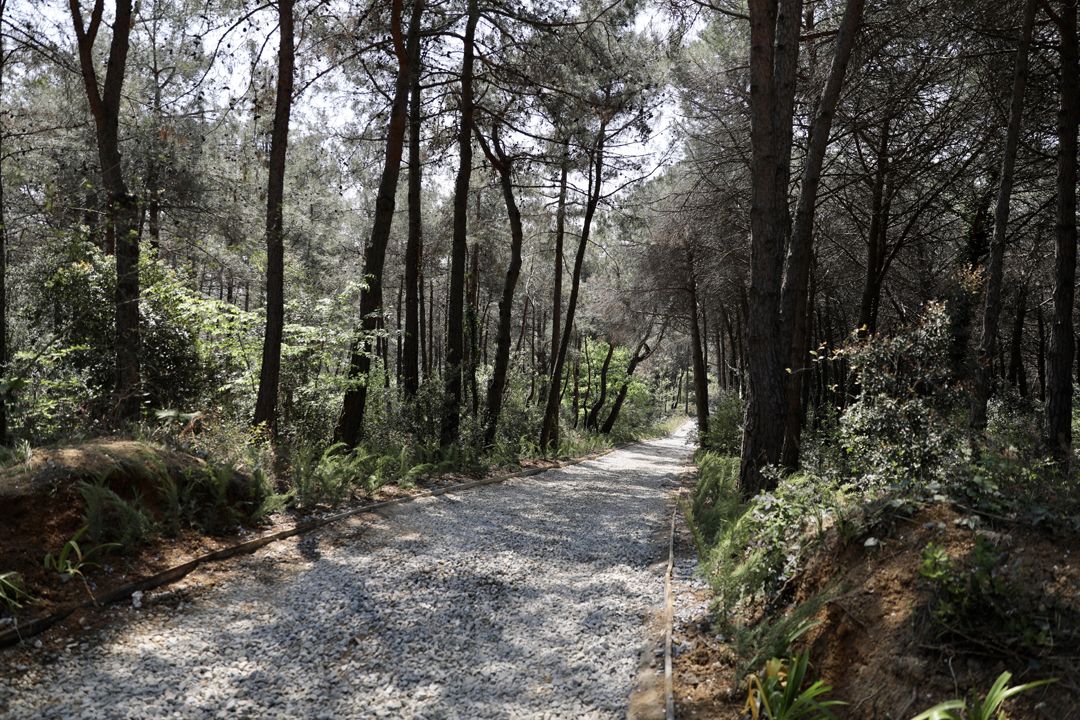 İmamoğlu'ndan 'Atatürk Kent Ormanı' müjdesi! - Sayfa:2