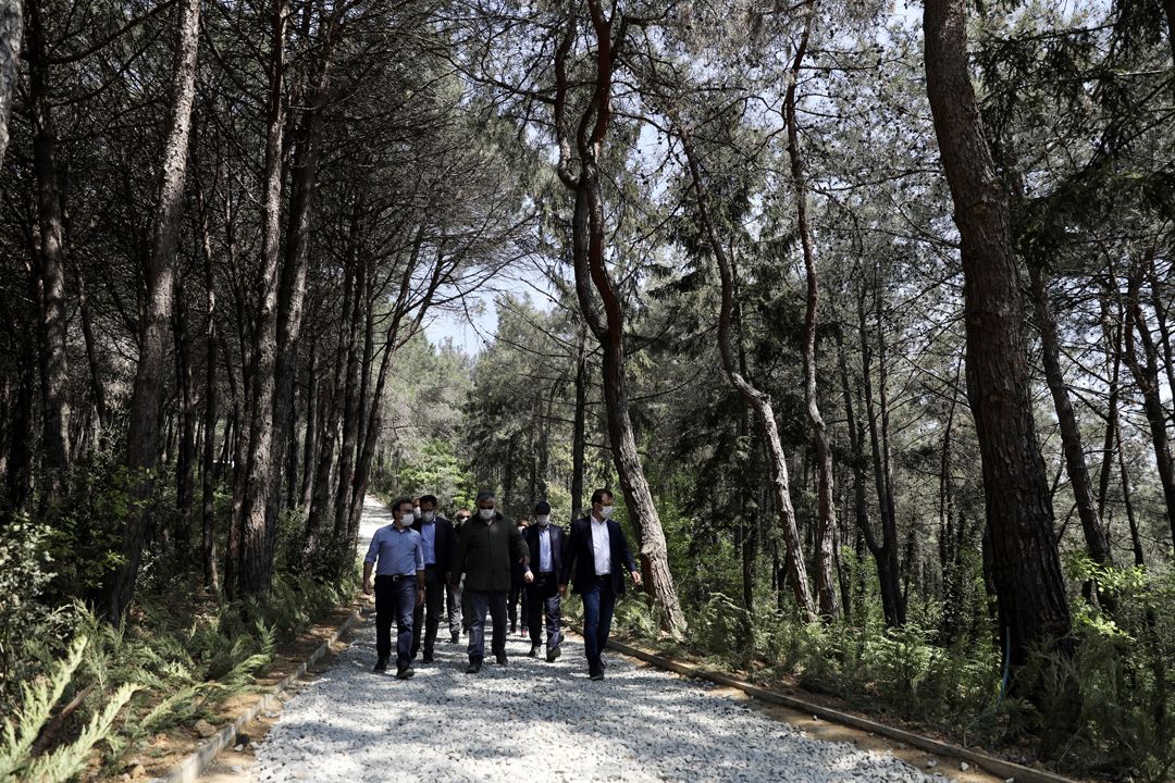 İmamoğlu'ndan 'Atatürk Kent Ormanı' müjdesi! - Sayfa:3