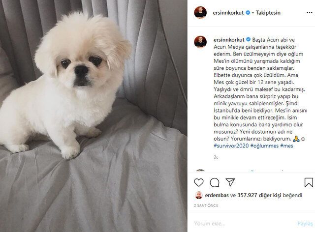 Ersin Korkut yeni köpeğinin fotoğrafını paylaştı: Adı ne olsun? - Sayfa:3