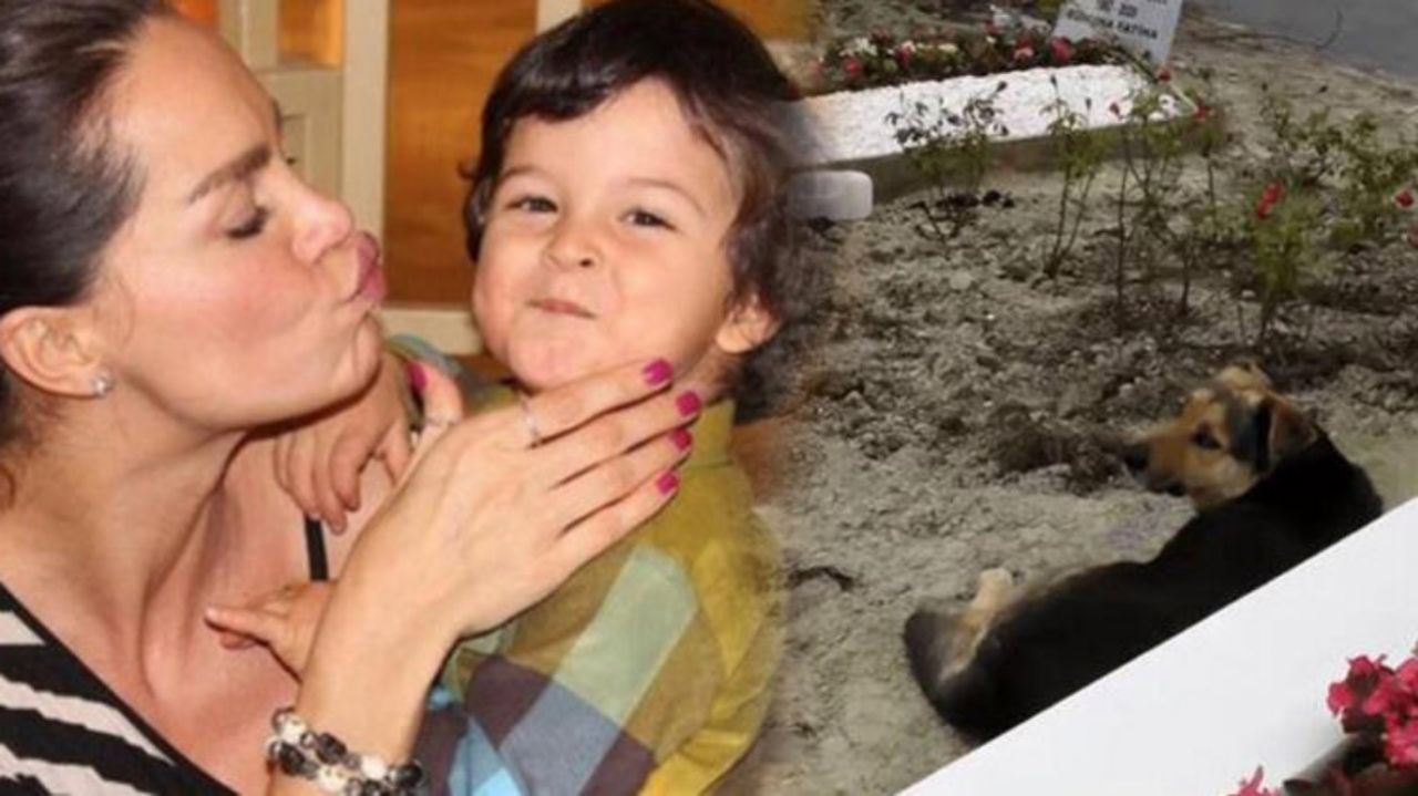 Ebru Şallı o köpeğin bakımını üstlendi - Sayfa:1