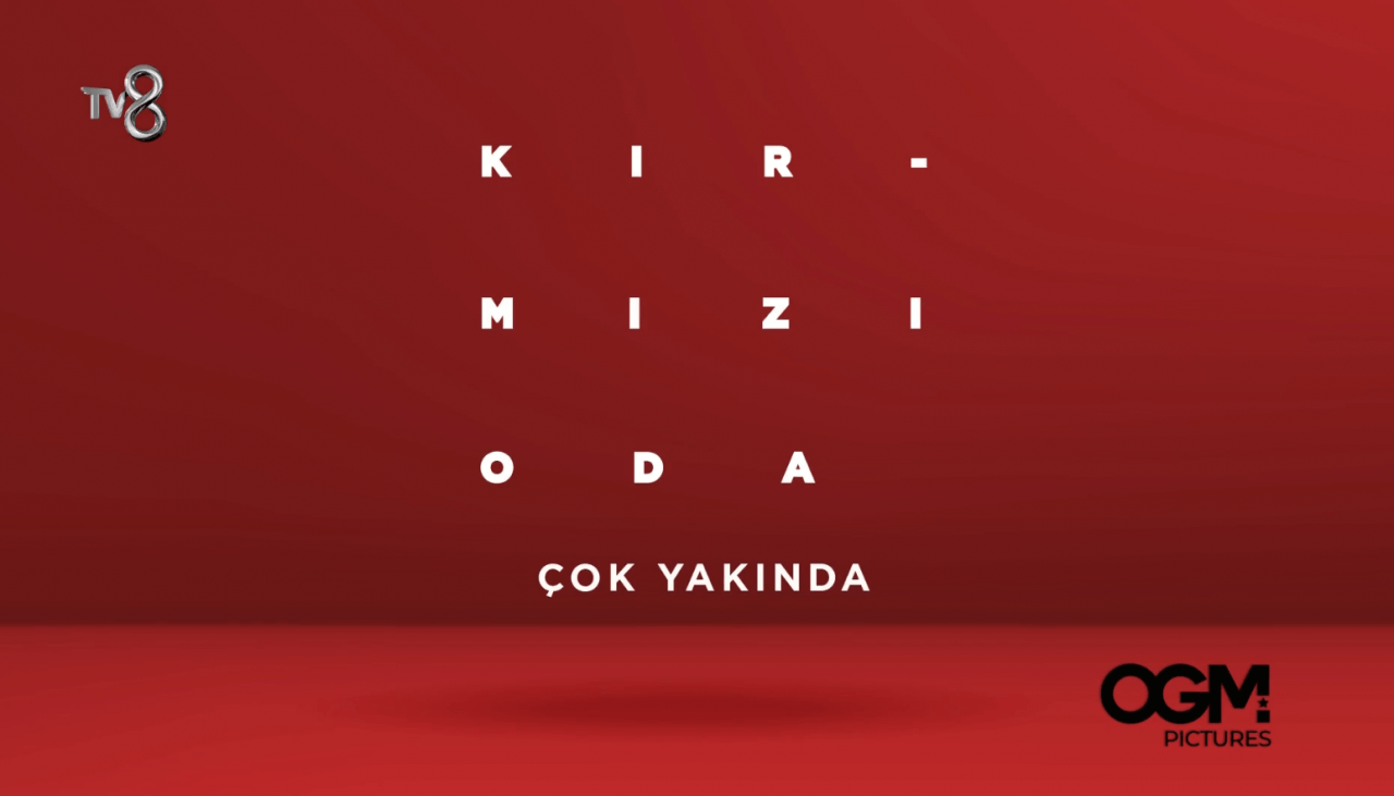 TV8’in yeni dizisi Kırmızı Oda’da yeni gelişme - Sayfa:2