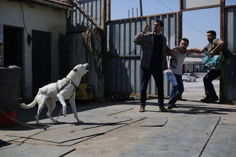 Gönül Dağı dizisinde yeni gelişme - Sayfa:1