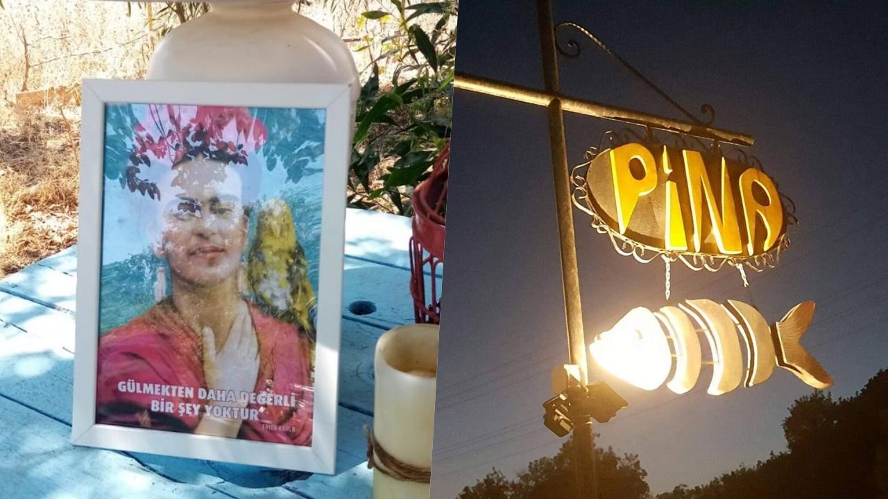 Bir dostluk ve aile hikayesi: Pina Balık - Sayfa:1