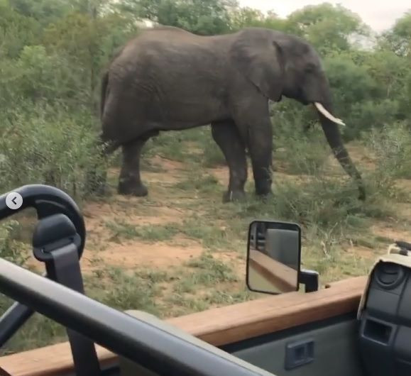 Ünlü çift Afrika'da safari yapıyor - Sayfa:4