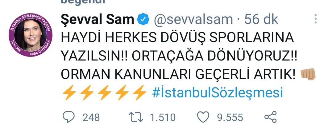 Ünlü isimlerden İstanbul Sözleşmesi isyanı! - Sayfa:4