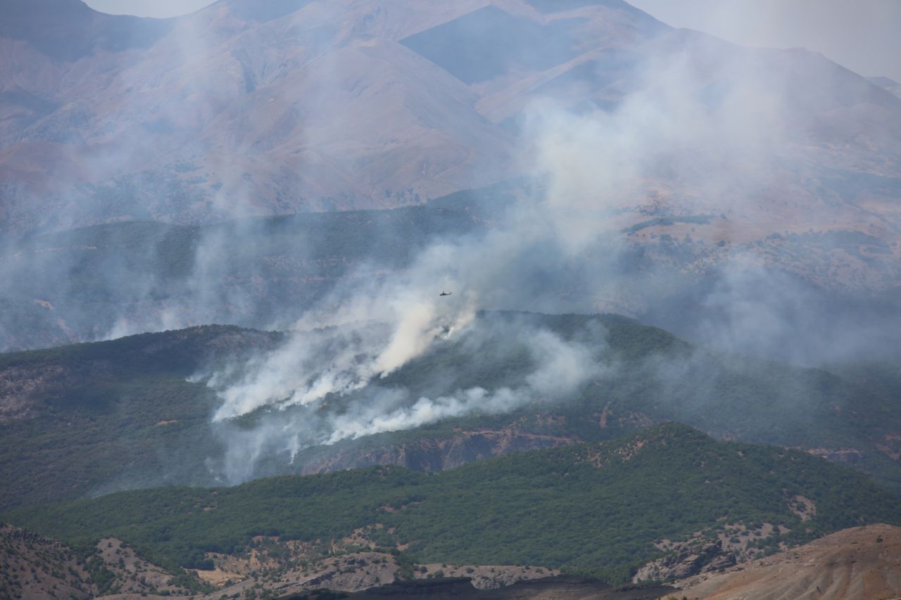 Tunceli'nin Ovacık ve Hozat ilçelerinde orman yangını - Sayfa:4