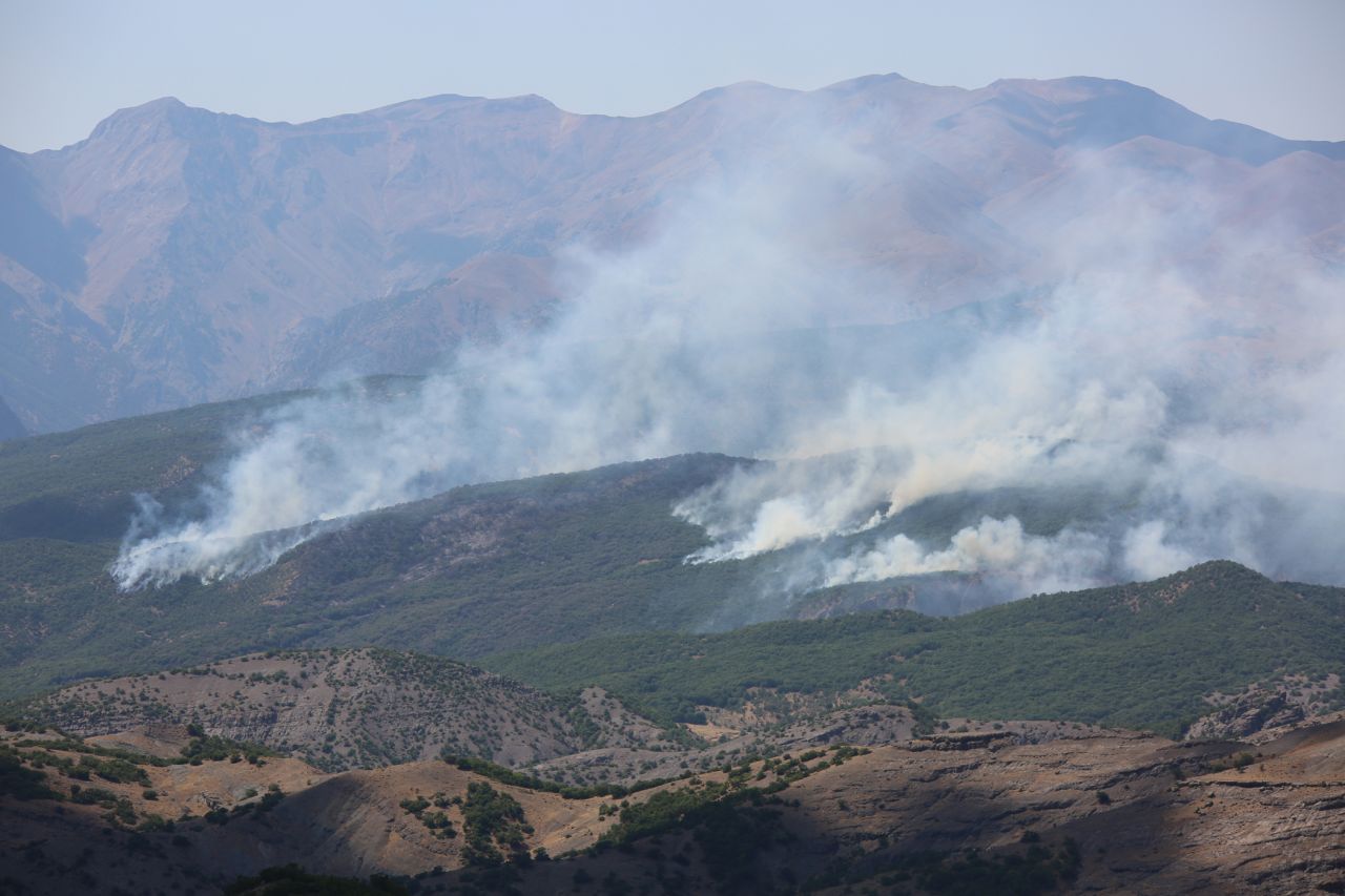 Tunceli'nin Ovacık ve Hozat ilçelerinde orman yangını - Sayfa:1