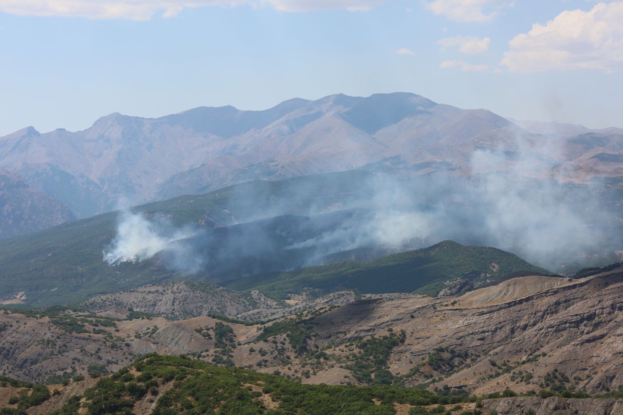 Tunceli'nin Ovacık ve Hozat ilçelerinde orman yangını - Sayfa:2