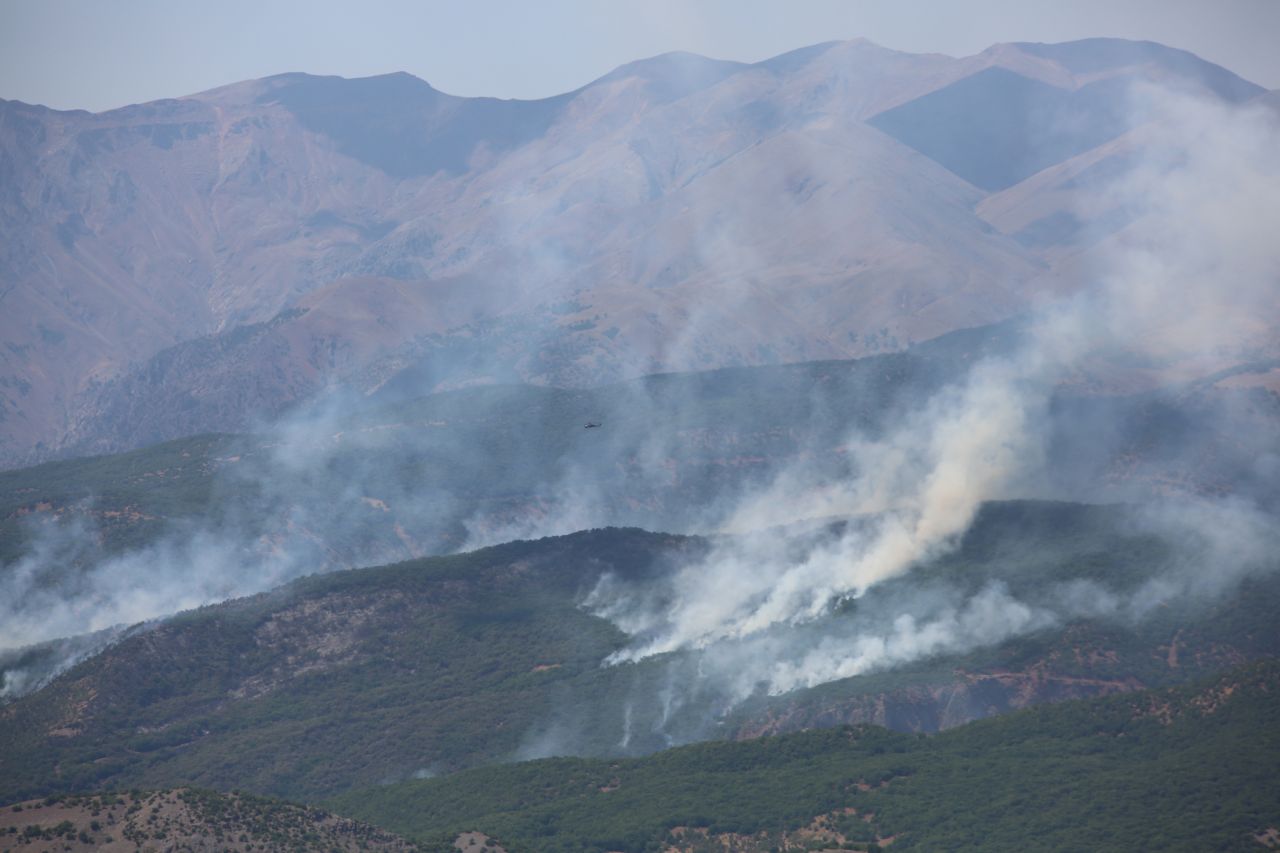 Tunceli'nin Ovacık ve Hozat ilçelerinde orman yangını - Sayfa:3