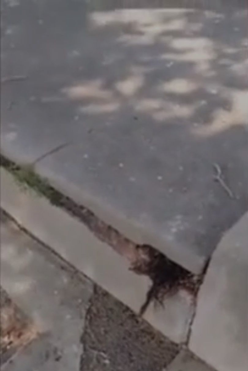 Videoyu elleri titreyerek çekti! Mezardan dışarı sarkan saçın gizemi merak ediliyor - Sayfa:1