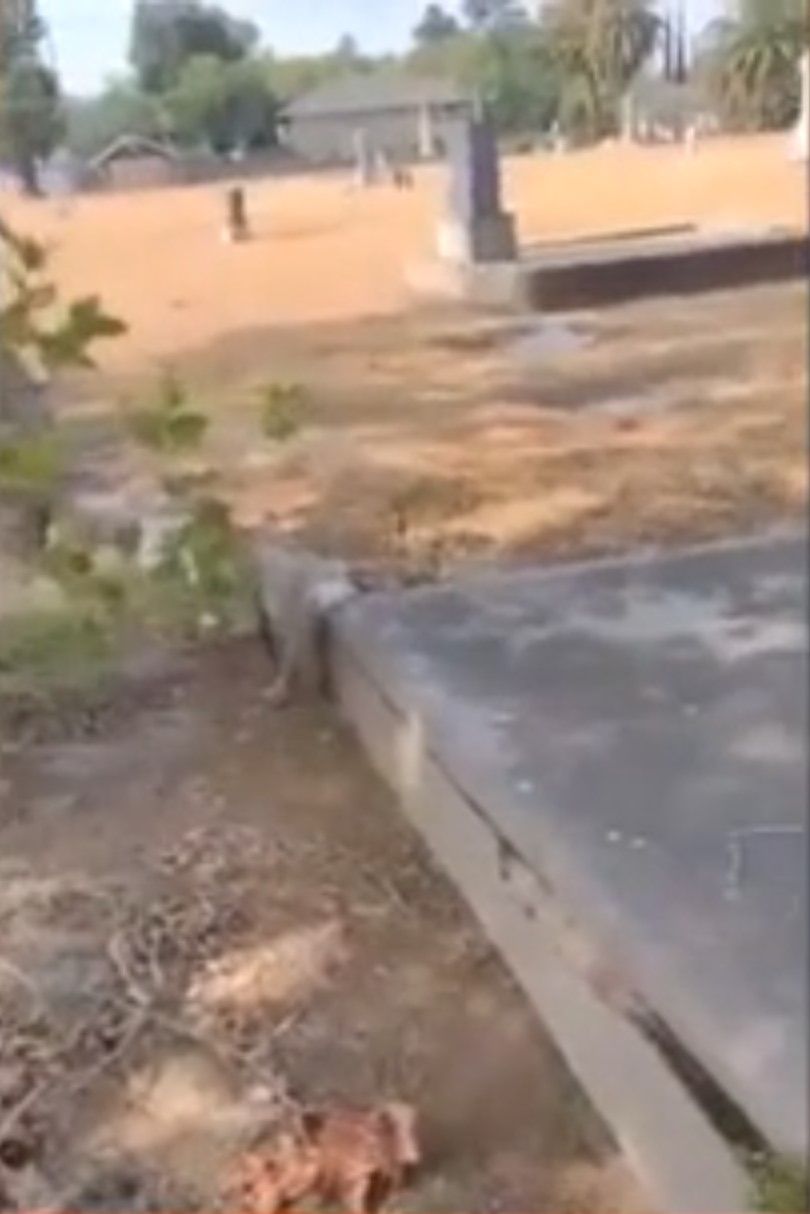 Videoyu elleri titreyerek çekti! Mezardan dışarı sarkan saçın gizemi merak ediliyor - Sayfa:3