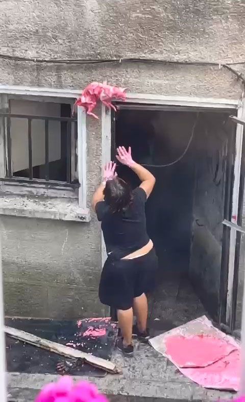 Şişli'de korkunç görüntüler, mahalleli şoka girdi. Yaşlı kadın evin penceresine ölü kedileri astı - Sayfa:1