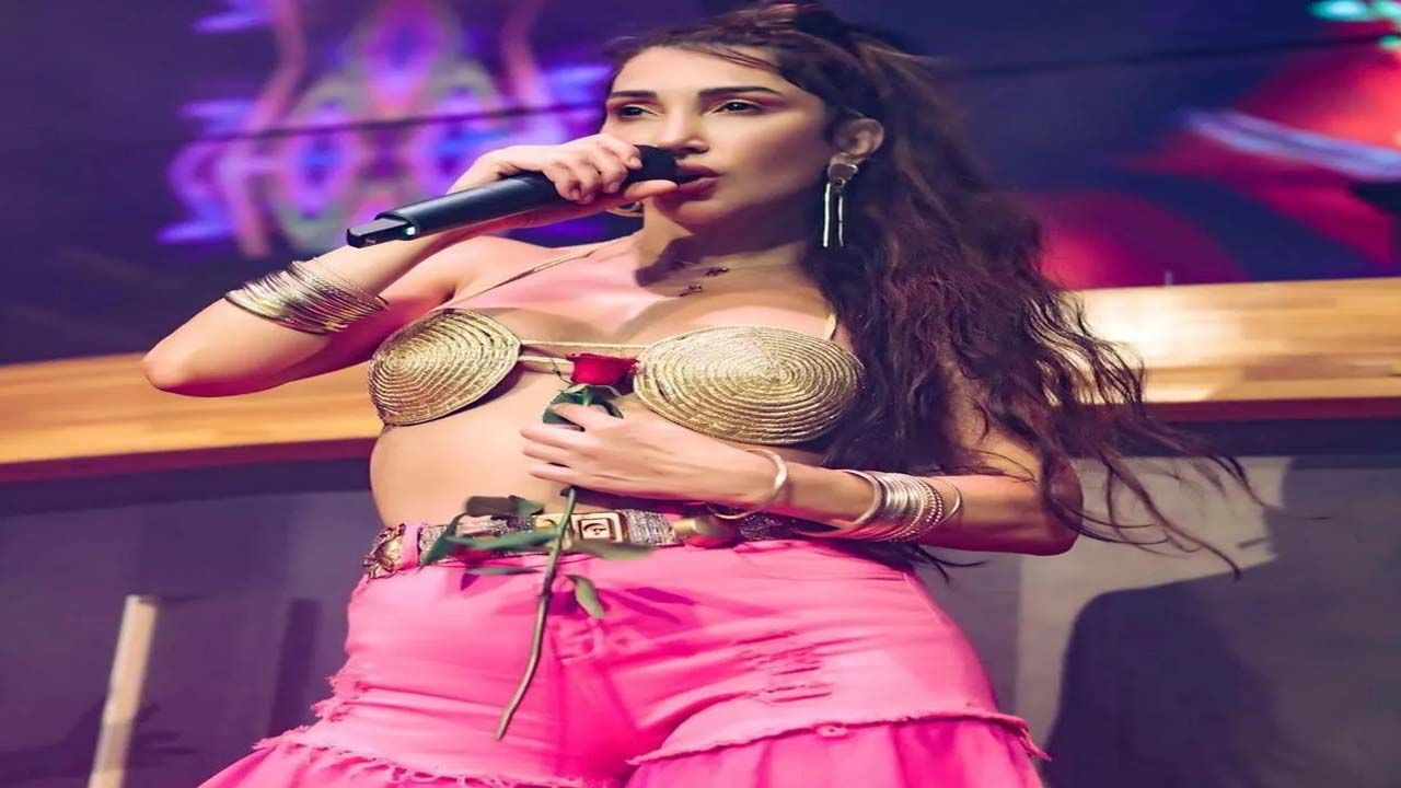 Hande Yener, 'yürek' isteyen dekoltesiyle konsere damga vurdu - Sayfa:3