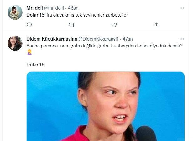 Dolar 15 Lira mı olacak? Sosyal medyada dolar capsleri aldı başını gitti - Sayfa:2