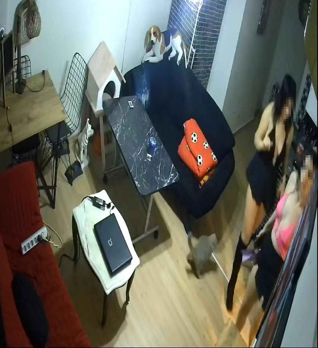 Antalya'da dekolteli, mini etekli hırsızlar kamerada: Çilingirle girdikleri evi böyle soydular! İşte şoke eden görüntüler - Sayfa:3