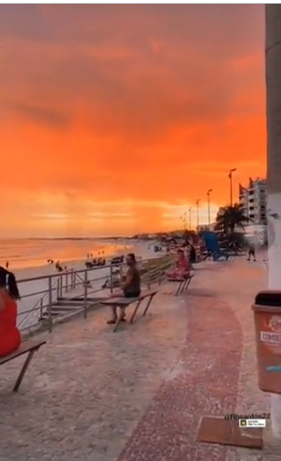 Sahilde herkesin gözü önünde ilişkiye giren çift gözaltına alındı! O anları turistler kameraya aldı... - Sayfa:1