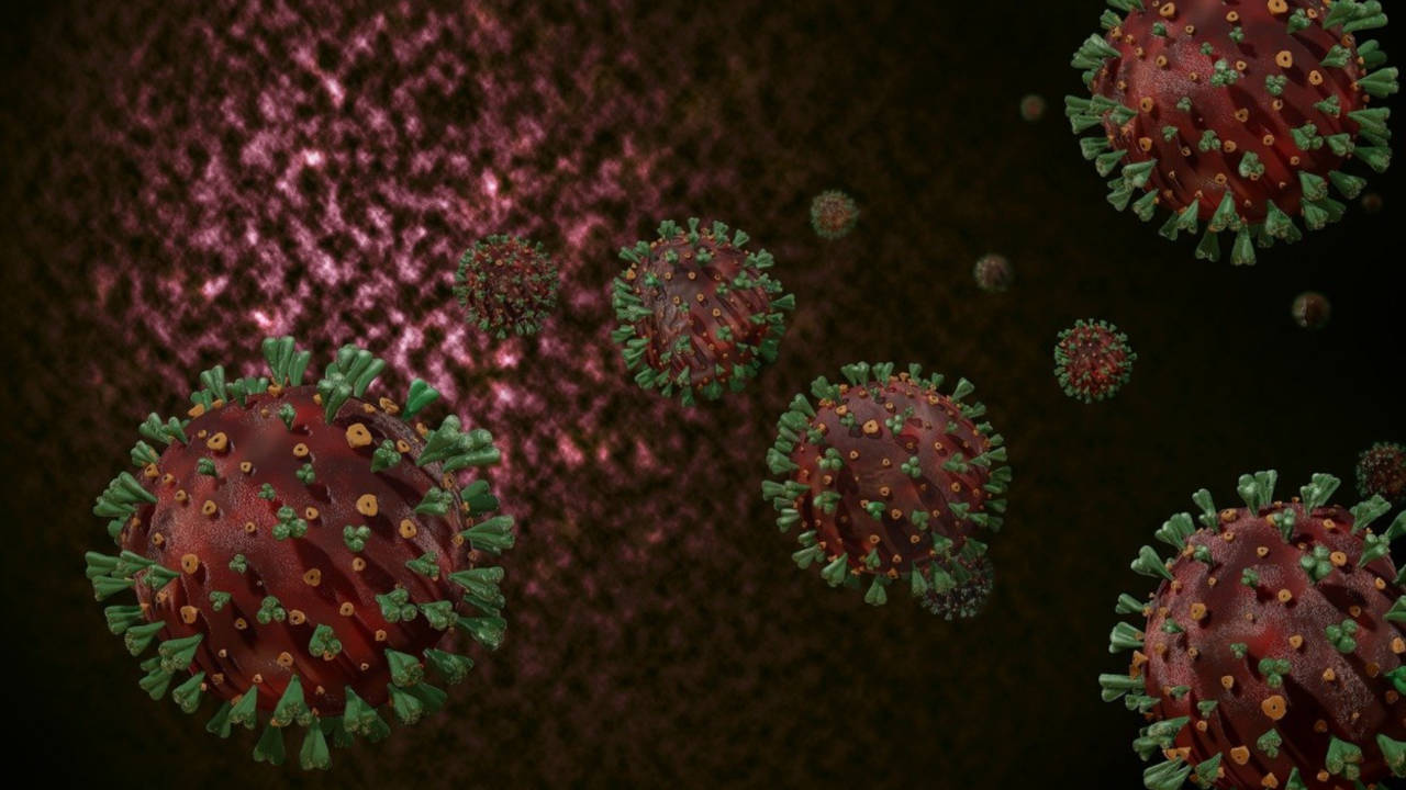 DSÖ direktörü, koronavirüs salgınının ne zaman biteceğini açıkladı: Anahtar aşı - Sayfa:2