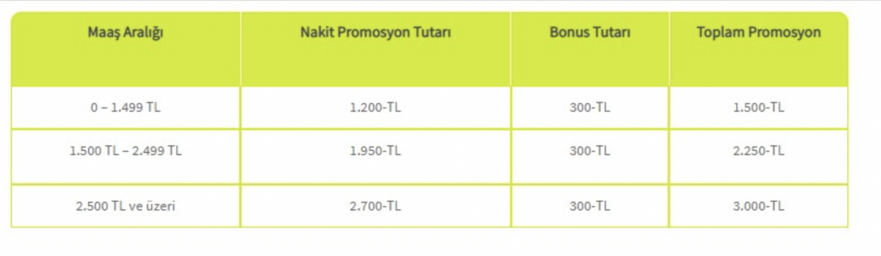 2022 banka promosyon ücretlerinde yeni rekor: Hangi banka ne kadar promosyon veriyor? 2022 banka promosyonları ne kadar oldu? - Sayfa:4