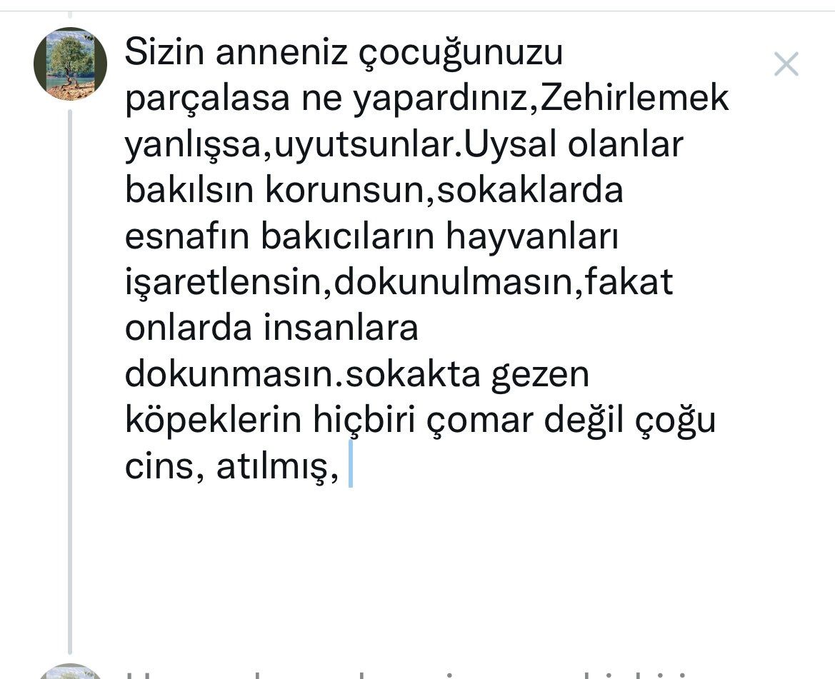 ‘Sokak köpeklerine zehirli et verilsin’ diyen Yıldız Tilbe tepkilere cevap verdi: Zehirlemek yanlışsa, uyutsunlar - Sayfa:5