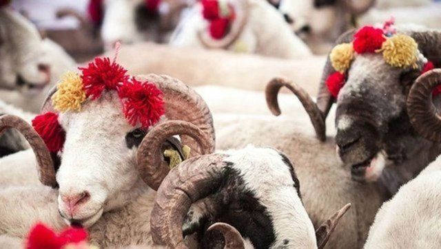 Kurban Bayramı tarihi ne zaman? 2022 Kurban Bayramı tatili kaç gün, 9 gün olacak mı? - Sayfa:4